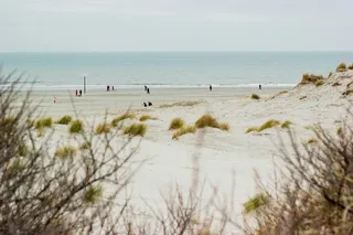 strand